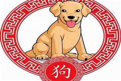 豬年出生的人|属猪的出生年份表年龄